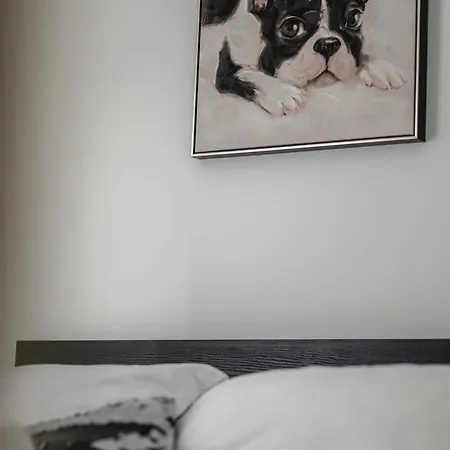 Babylu Appartement Zadar