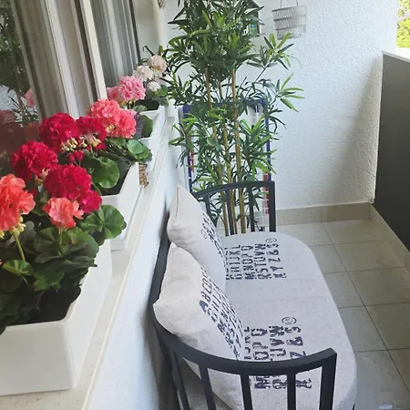 Babylu זאדאר